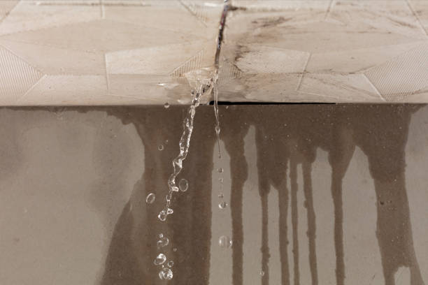 Professional Structural Drying technician working in Quaker City, OH